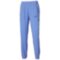 Штаны Mizuno FRONTIER SHADOW PANTS (62GDD20128)