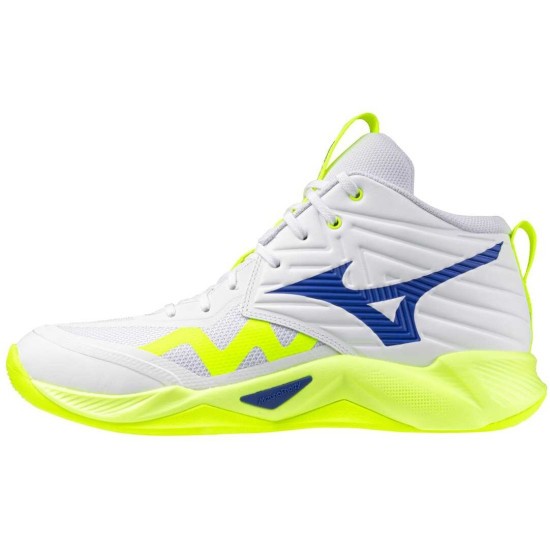 Мужские волейбольные кроссовки Mizuno Wave MOMENTUM PRO MID (V1GA254539) фото 1