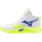 Мужские волейбольные кроссовки Mizuno Wave MOMENTUM PRO MID (V1GA254539)