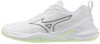 Женские гандбольные кроссовки Mizuno Wave STEALTH ELITE (X1GB266085)