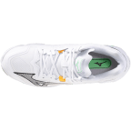 Мужские волейбольные кроссовки Mizuno Wave LIGHTNING Z8 MID (V1GA240516)