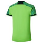 Футболка Mizuno STARGAZER SHADOW SHORT SLEEVE TEE (62GAD00237)