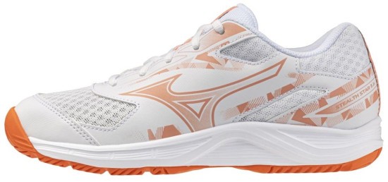 Детские волейбольные кроссовки Mizuno STEALTH STAR 3 JR. (X1GC250780) фото 1