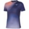 Мужская футболка Mizuno GRAPHIC SHORT SLEEVE TEE (62GAD50114)