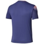 Мужская футболка Mizuno GRAPHIC SHORT SLEEVE TEE (62GAD50114)