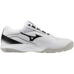 Мужские волейбольные кроссовки Mizuno CYCLONE SPEED 5 (V1GA258059)