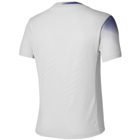 Мужская футболка Mizuno GRAPHIC SHORT SLEEVE TEE (62GAD50104) фото 2