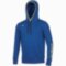 Чоловіче худі Mizuno MEN SWEAT HOODIE (32EC7008C22)