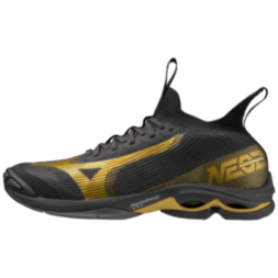 Мужские волейбольные кроссовки Mizuno WAVE LIGHTNING NEO 2  (V1GA220241)