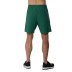 Мужские шорты Mizuno 8 INCHES FLEX SHORT (62GB260135)