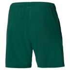 Мужские шорты Mizuno 8 INCHES FLEX SHORT (62GB260135)