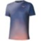 Мужская футболка Mizuno GRAPHIC SHORT SLEEVE TEE (62GAD50113)