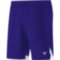 Мужские гандбольные шорты Mizuno PREM HANDBALL SHORT (X2FB9A0222)