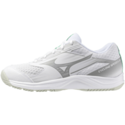 Детские волейбольные кроссовки Mizuno CYCLONE SPEED 5 JR. (V1GD251121)