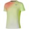 Мужская футболка Mizuno GRAPHIC SHORT SLEEVE TEE (62GAD50141)