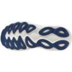Мужские беговые кроссовки Mizuno Wave SKY 9 (J1GC250252)