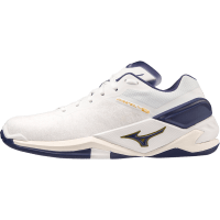 Мужские гандбольные кроссовки Mizuno Wave STEALTH NEO (X1GA200043)