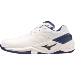Мужские гандбольные кроссовки Mizuno Wave STEALTH NEO (X1GA200043)