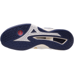 Мужские гандбольные кроссовки Mizuno Wave STEALTH NEO (X1GA200043)