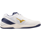 Мужские гандбольные кроссовки Mizuno Wave STEALTH NEO (X1GA200043)