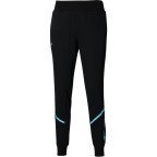 Жіночі спортивні штани Mizuno SWEAT PANT (K2GDA20109)