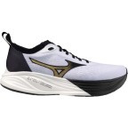 Мужские кроссовки для бега Mizuno NEO ZEN 2 (J1GC268201)