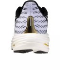 Мужские кроссовки для бега Mizuno Wave RIDER 29 (J1GC266301)