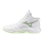 Женские волейбольные кроссовки Mizuno Wave MOMENTUM PRO MID (V1GC254585)