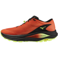 Мужские трейловые кроссовки Mizuno NEO ACCERA (J1GJ265051)