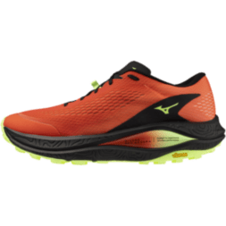 Чоловічі трейлові кросівки Mizuno NEO ACCERA (J1GJ265051)