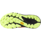 Мужские трейловые кроссовки Mizuno NEO ACCERA (J1GJ265051)