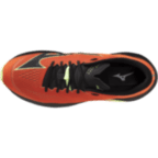 Мужские трейловые кроссовки Mizuno NEO ACCERA (J1GJ265051)