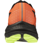 Мужские трейловые кроссовки Mizuno NEO ACCERA (J1GJ265051)