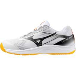 Мужские волейбольные кроссовки Mizuno CYCLONE SPEED 5 (V1GA258098)