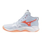 Женские волейбольные кроссовки Mizuno Wave MOMENTUM PRO MID (V1GC254584)