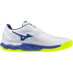 Мужские теннисные кроссовки Mizuno Wave ENFORCE COURT AC (61GA243220)