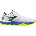 Мужские теннисные кроссовки Mizuno Wave ENFORCE COURT AC (61GA243220)