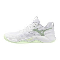 Женские волейбольные кроссовки Mizuno Wave MOMENTUM PRO (V1GC254085)
