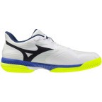 Мужские теннисные кроссовки Mizuno Wave EXCEED COURT AC (61GA251820)