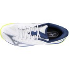 Мужские теннисные кроссовки Mizuno Wave EXCEED COURT AC (61GA251820)