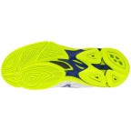 Мужские волейбольные кроссовки Mizuno Wave LIGHTNING PRO (V1GA266039)