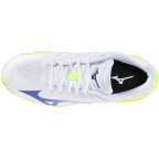 Мужские волейбольные кроссовки Mizuno Wave LIGHTNING PRO (V1GA266039)