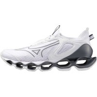 Мужские кроссовки для бега Mizuno Wave PROPHECY 14 (J1GC255132)
