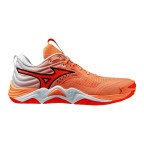 Мужские волейбольные кроссовки Mizuno Wave MOMENTUM ELITE (V1GA251280)