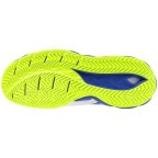 Мужские теннисные кроссовки Mizuno Wave ENFORCE TOUR 2 AC (61GA260020)