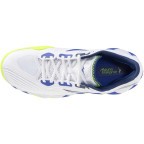 Мужские теннисные кроссовки Mizuno Wave ENFORCE TOUR 2 AC (61GA260020)