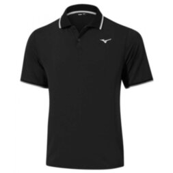 Мужское поло Mizuno MEN POLO (32EA7041C24)