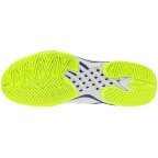 Мужские теннисные кроссовки Mizuno Wave EXCEED TOUR 7 AC (61GA267020)