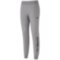 Мужские спортивные штаны Mizuno TERRY PANT LONG VERSION (32ED7B65LC07)