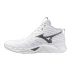 Мужские волейбольные кроссовки Mizuno Wave MOMENTUM PRO MID (V1GA254583)